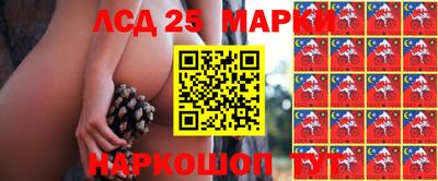 трава Комсомольск-на-Амуре