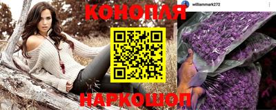 крисы Конаково
