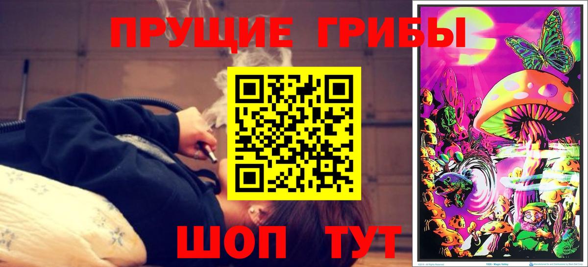 Коряжма  Галлюциногенные грибы Psilocybine cubensis  Вход с VPN  Псилоцибиновые грибы GOLDEN TEACHER 